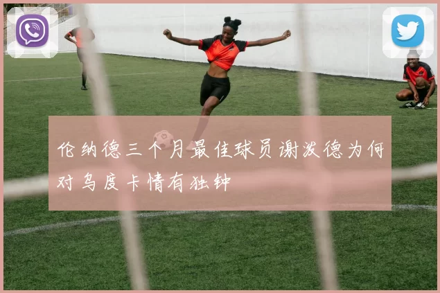 伦纳德三个月最佳球员谢泼德为何对乌度卡情有独钟