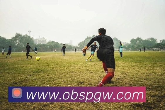 欧宝体育官网APP 高清赛事图